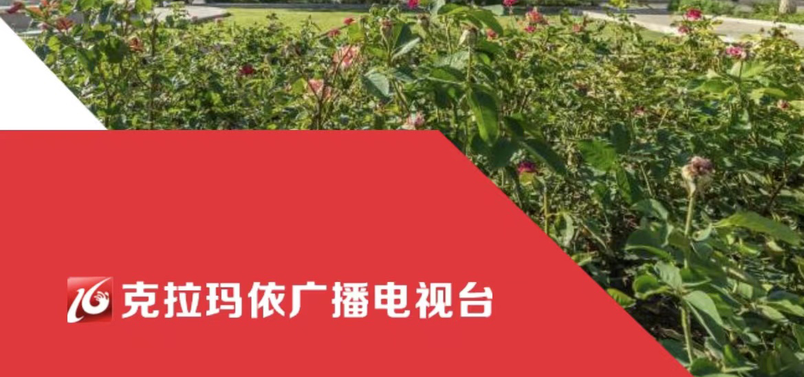 克拉瑪依廣播電視臺社會(huì)責(zé)任報(bào)告（2021年度）